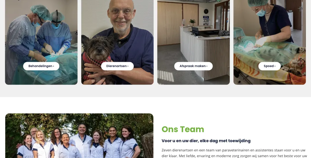 Treatments, vets, appointments and emergencies, and the team